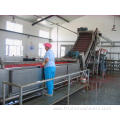 Automatic cranberry processing line